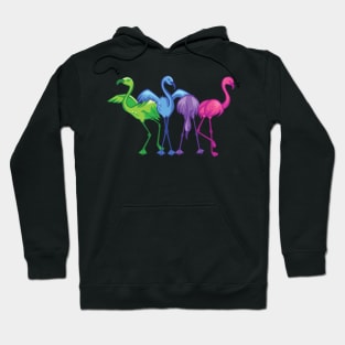 Dancing Flamingo Hoodie